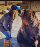 bearr3.jpg