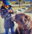 bearr4.jpg