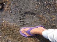IMG_4830.jpeg