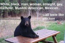taste like chicken.jpg