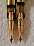 80gr ELD and 88gr ELD.jpg
