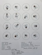 Bug Kill - 169 SMK's w-41.1 AR-Comp.JPG