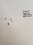 thumbnail (49).png