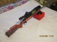 IMG_1381.JPG