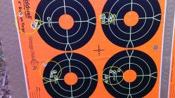 22lr@100m3.jpg