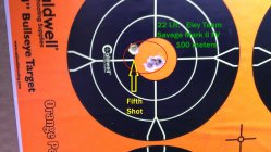 22lr @100m4.jpg