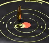 308-168smk-varget-5-shots-100m.jpg