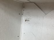 C496C19A-27F0-4439-9251-0E0284337BD0.jpeg