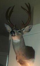 20220508_091540.jpg