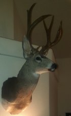 20220508_091508.jpg