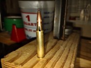 IMG_20220205_030822669.jpg