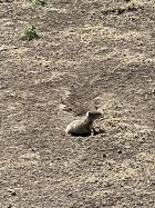 C75703C6-BF62-49BC-9C12-22B165D912E1.jpeg