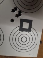 200-yard-108-EH-34.0-grain-.jpg