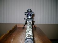 R25 nightforce.jpg