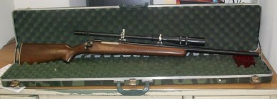 gun 001.jpg
