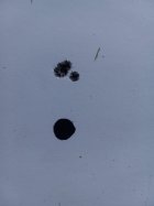 20220518_152431.jpg