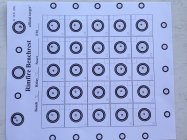 Aug. 1 250-21X R2.jpg