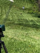IMG_3202.jpg