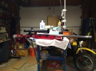 IMG_20210606_191328306.jpg