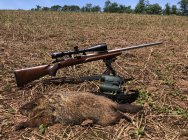 38D937D4-EF8A-41EB-8581-EC4B1E5FA851.jpeg 38D937D4-EF8A-41EB-8581-EC4B1E5FA851.jpeg