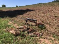 A59E63BE-338D-466C-9F11-DFC6836839F9.jpeg A59E63BE-338D-466C-9F11-DFC6836839F9.jpeg