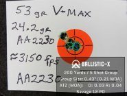 Savage Target X.jpg