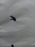 20220608_120537.jpg
