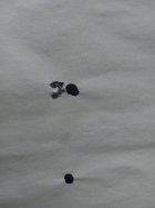 20220608_120541.jpg
