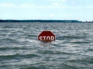 1654750166228.png