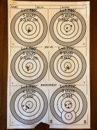 Target at 300Y.jpg