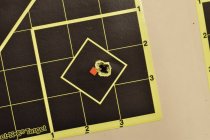 243Factoryammo5shots100m.jpg