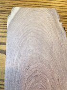 IMG_1181 (1).JPG IMG_1181 (1).JPG