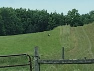 IMG_20220615_140444691.jpg