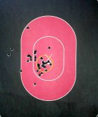 CCW_Qual-b.jpg CCW_Qual-b.jpg