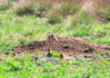 Leaving Canon and Hunting 260.JPG