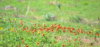 Leaving Canon and Hunting 408.JPG
