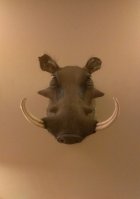 warthog_boar1.jpg