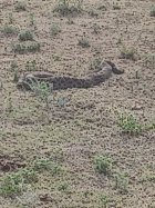 20220703_094801.jpg
