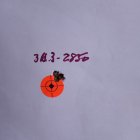 IMG_20220718_082829.jpg