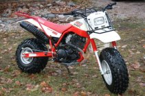 1988-yamaha-bw-350-1.jpg