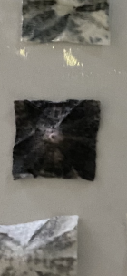 30796918-6512-4E32-9929-FB5C6172E8CF.png
