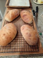 Breads.jpg