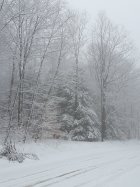 20170319_115840_004.jpg