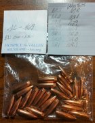 Bullet Weight.jpg