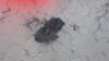 Savage 1000 yd 4 shot.JPG