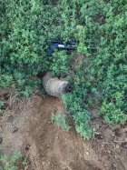 141_yds.jpg 141_yds.jpg