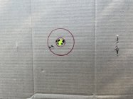 45558862-C772-46C9-9C30-F12E14460F8D.jpeg