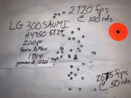300 SAUMI LG.jpg
