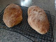 Ciabatta bread.jpg