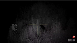 Screenshot_20220911-015427_1.png